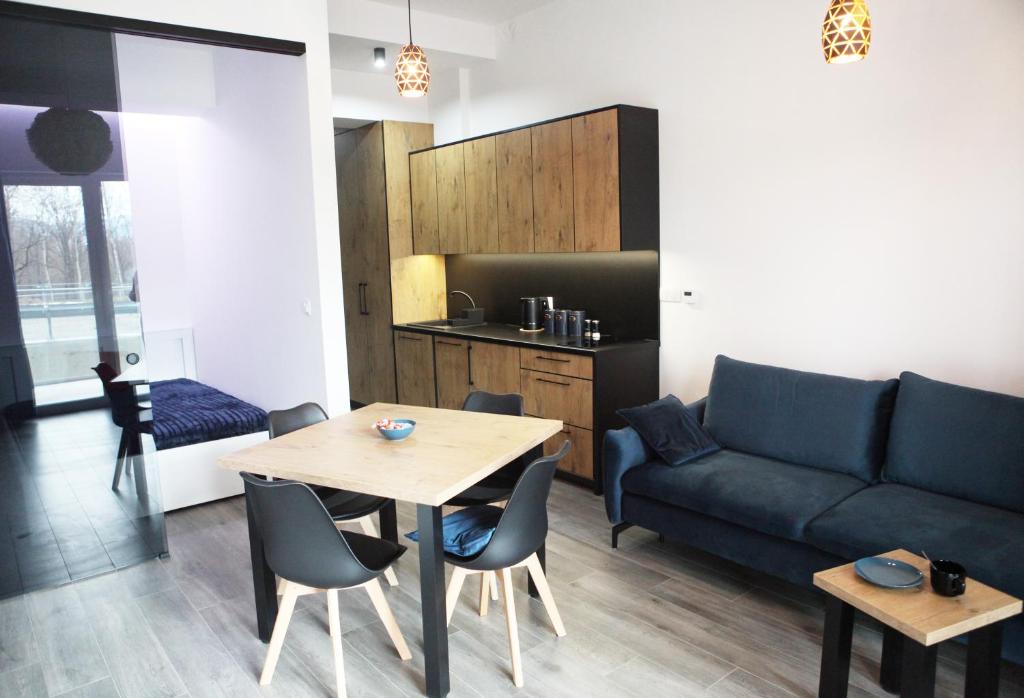 Salon z aneksem kuchennym i sofą